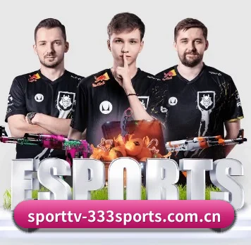 sporttv-333sports.com.cn APP 界面